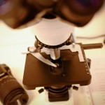 Microscopio ottico presso lo Studio Medico di dermatologia e tricologia B. M. PIraccini